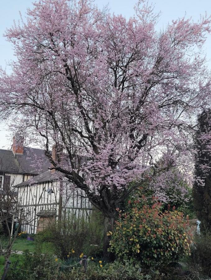 Les Gites De L'Herperie Blicourt Exteriér fotografie